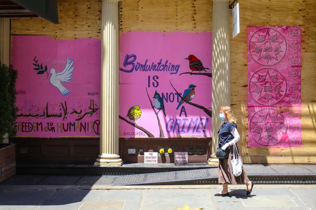A pink mural featuring birds reads: Birdwatching is not a crime